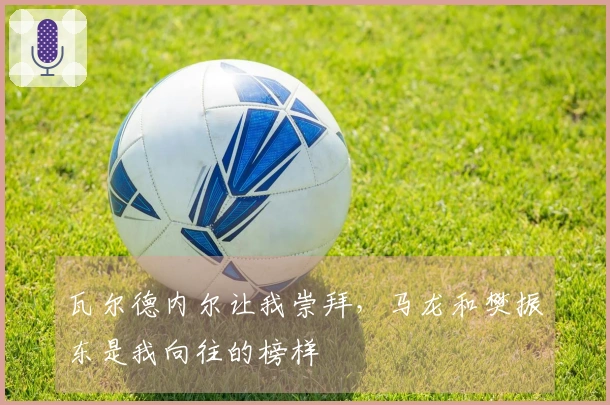 瓦尔德内尔让我崇拜，马龙和樊振东是我向往的榜样